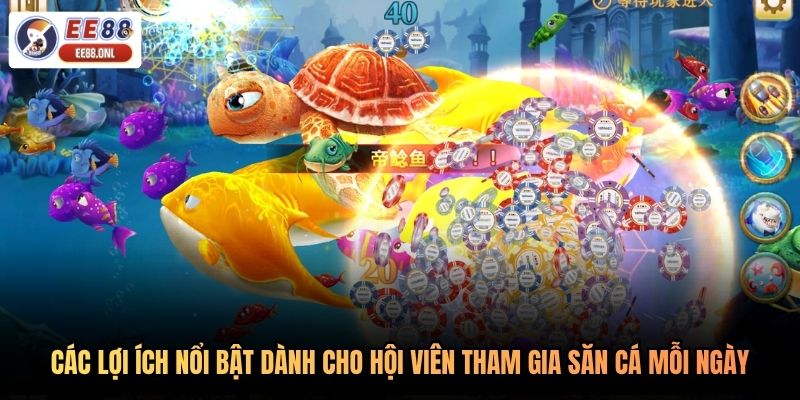 Các lợi ích nổi bật dành cho hội viên tham gia săn cá mỗi ngày