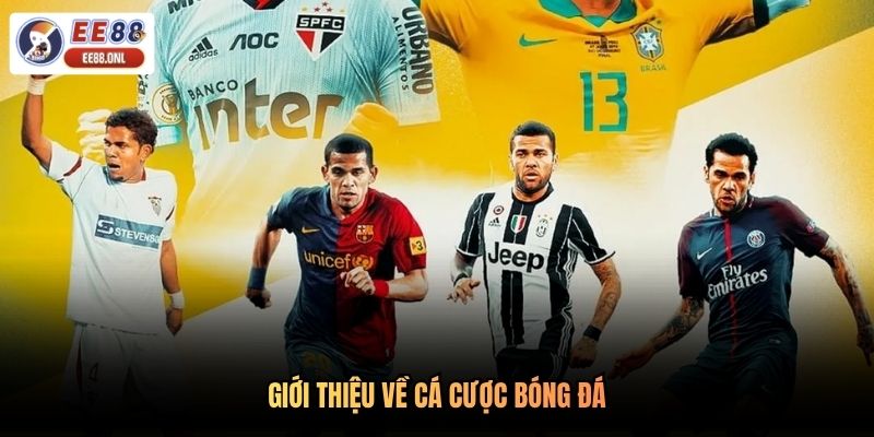 Giới thiệu về cá cược bóng đá
