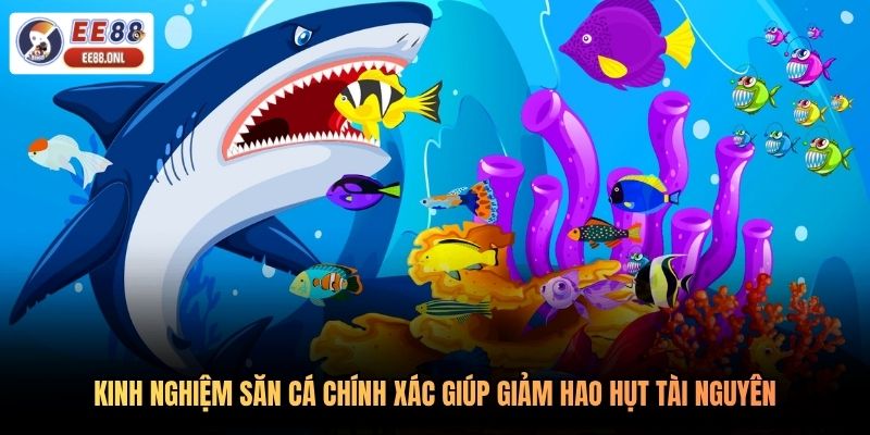 Kinh nghiệm săn cá chính xác giúp giảm hao hụt tài nguyên