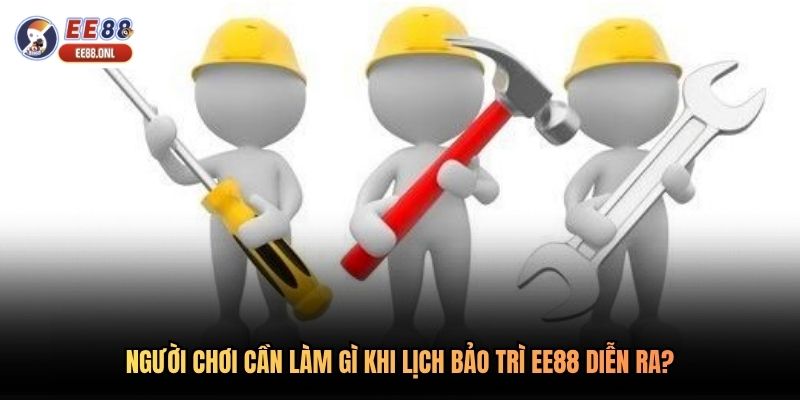 Người chơi cần làm gì khi lịch bảo trì EE88 diễn ra?
