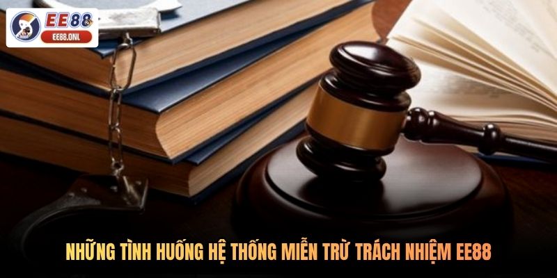 Những tình huống hệ thống miễn trừ trách nhiệm EE88