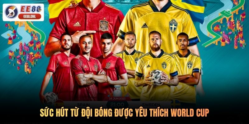 Sức hút từ đội bóng được yêu thích World Cup