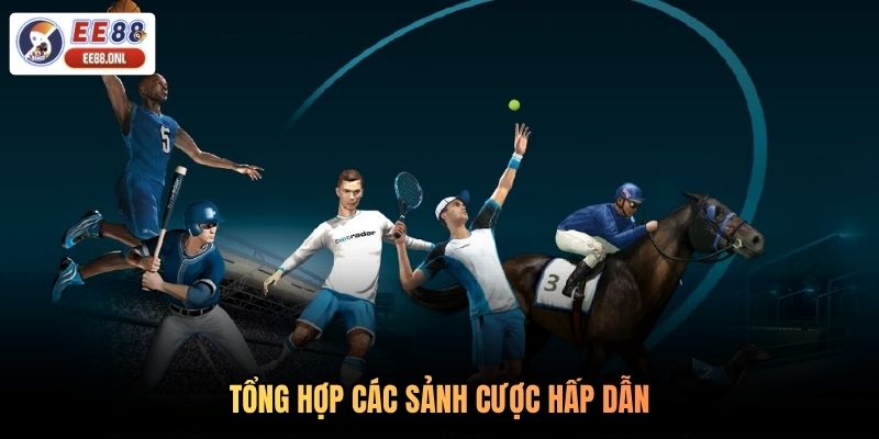 Tổng hợp các sảnh cược hấp dẫn