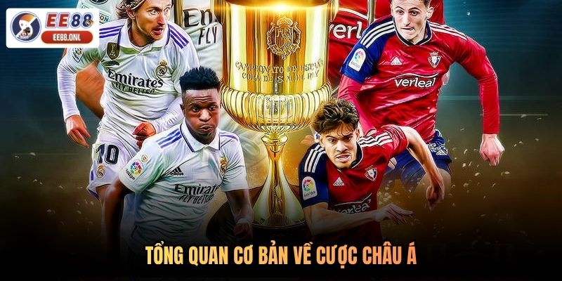Tổng quan cơ bản về cược châu Á